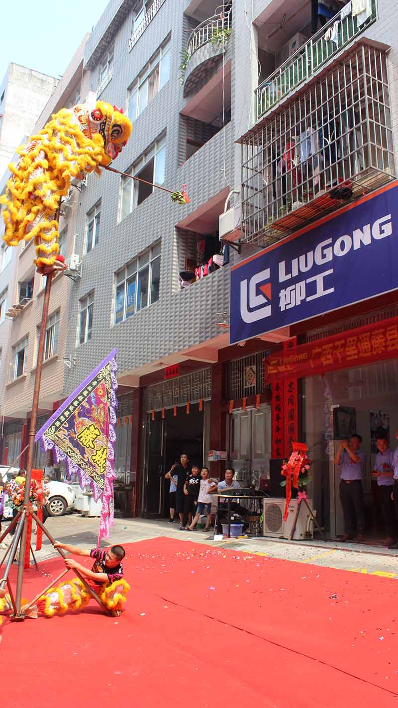 舞狮采青 财源滚滚1.jpg